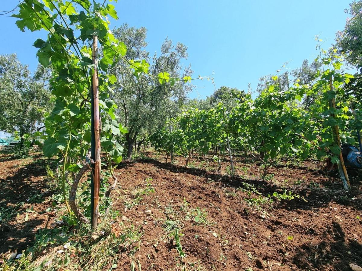 I Sapori Del Gargano ξενώνας Βιέστε Εξωτερικό φωτογραφία